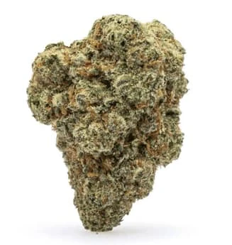 ISLANDER BC CRAFT CANNABIS - TOMBSTONE 14G Main Image