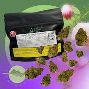 GMO - VALUE LINE - WEST COAST GAS - 14G (DFG)