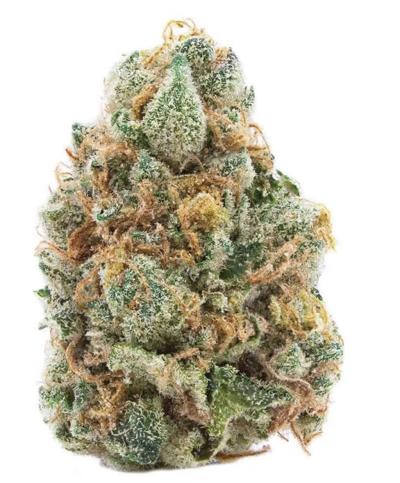 SPINACH - GMO Cookies 3.5g Dried Flower Main Image