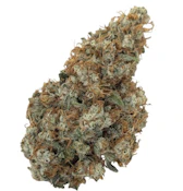 Natural History Limited Reserve Sativa 7g Dried Flower