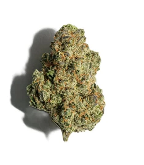 PURE SUNFARMS - PURE SUNFARMS DAY TRIPPED 7G DRIED FLOWER Main Image