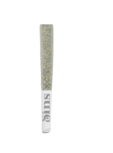 SIXTY SEVEN SINS - GARY SATAN PRE-ROLL - 1g Main Image