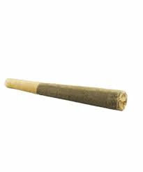 Canadian Cannabis - Organic Sugar Haze 1 x 0.5g Pre-Roll Main Image