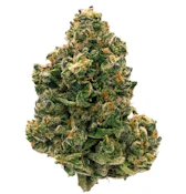 CITRUS NOTES- 28 GRAMS