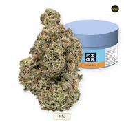 FIGR Golden Hour (GMO x Mint Choco Chip) 3.5g Flower