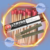 IGNITE - TRYGG - 2X1G