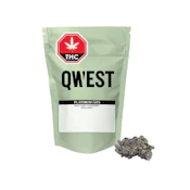 Qwest | PLATINUM GAS CRAFT | 7g