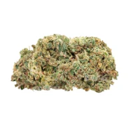 FIRE G13 LTO - 14g