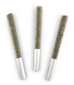 TAHOE OG PRE-ROLLS - 3 x 0.5g