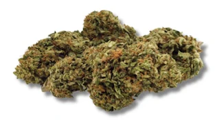 CERTIFIED ORGANIC CBD FLOWER (UMPQUA) - 7g