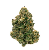 CITRUS NOTES - 28G