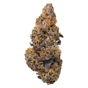 Grape Burger | 7g | Uncommon Cannabis Co