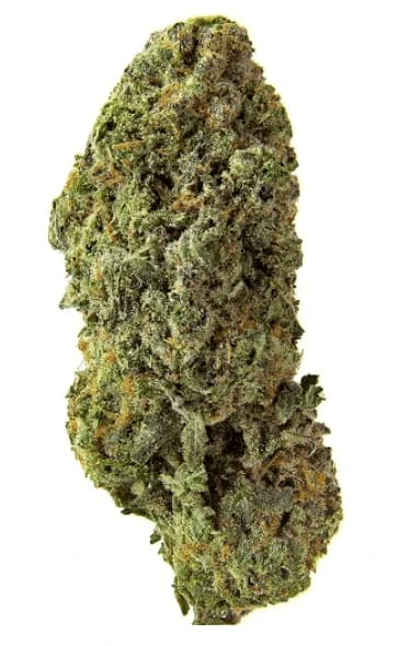 Homestead - 28G BANDWAGON SATIVA Main Image