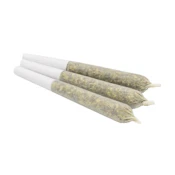 Neon Gas (0.5g x 3PR) - Zippy