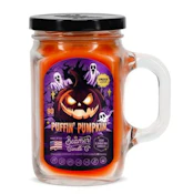 Puffin Pumpkin Cake Beamer Candle | 12oz