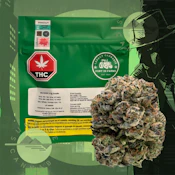 OG KUSH SMALLS - FORT 20 FARMS - 3.5G