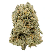 Punch Out 7g Dried Flower