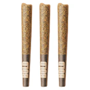 Root Beer Float Pre-Rolls 3x0.5g Indica Pre-Rolls