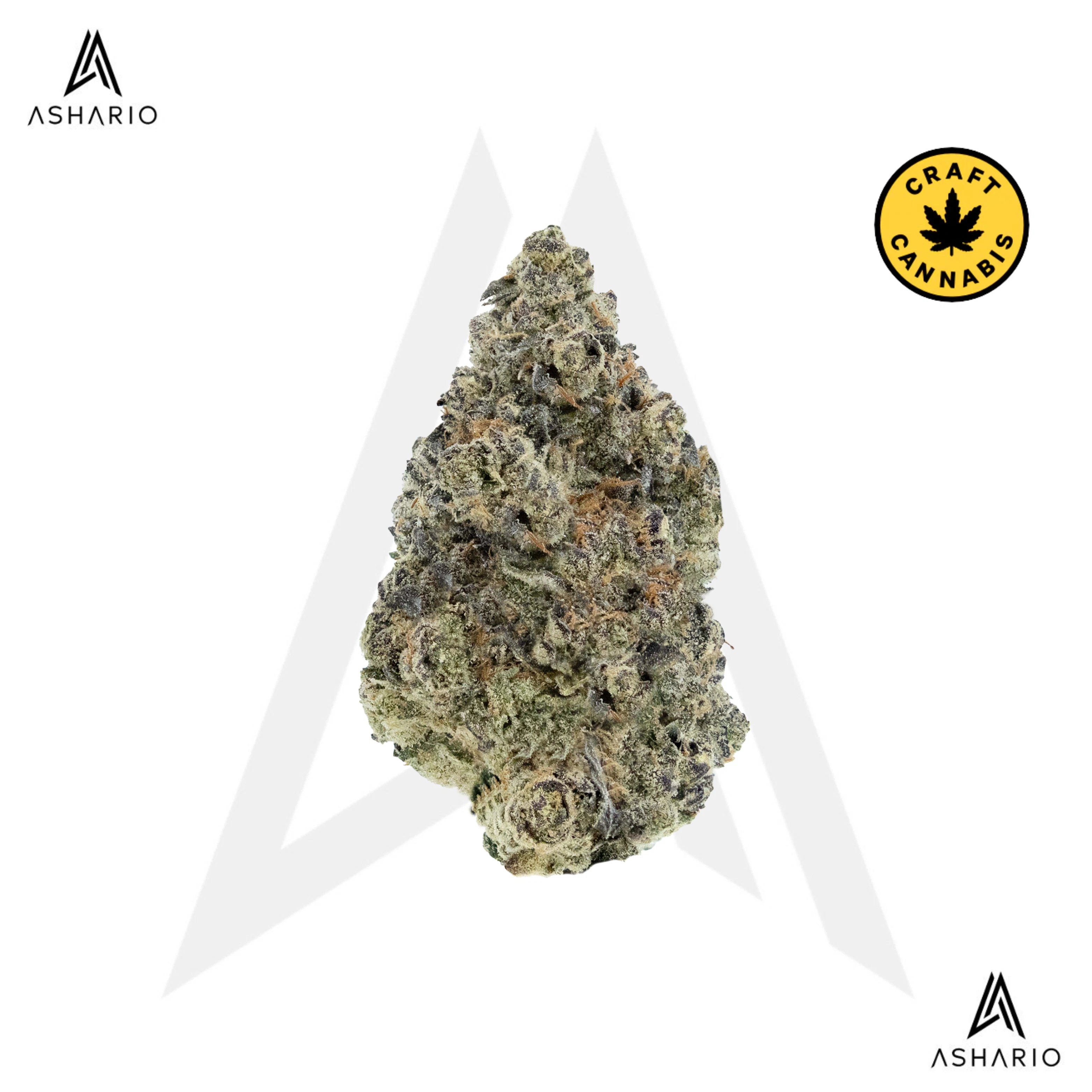 WOODY NELSON - Sunset Sherbet | 14g Main Image