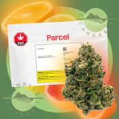 CITRUS NOTES - PARCEL - 28G