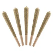Watermelon 5 x 0.5g Infused Pre-Rolls