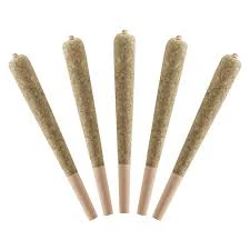 STANDARD ISSUE - Watermelon 5 x 0.5g Infused Pre-Rolls Main Image