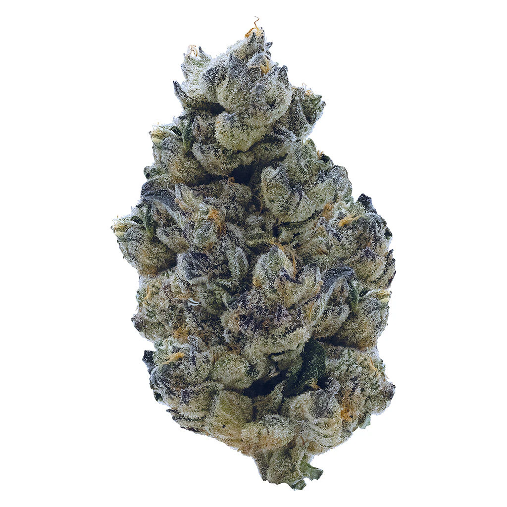 TRIBAL - Tribal GT 3.5g Dried Flower Main Image