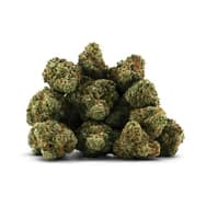 GELATO SWEET TEA - 14