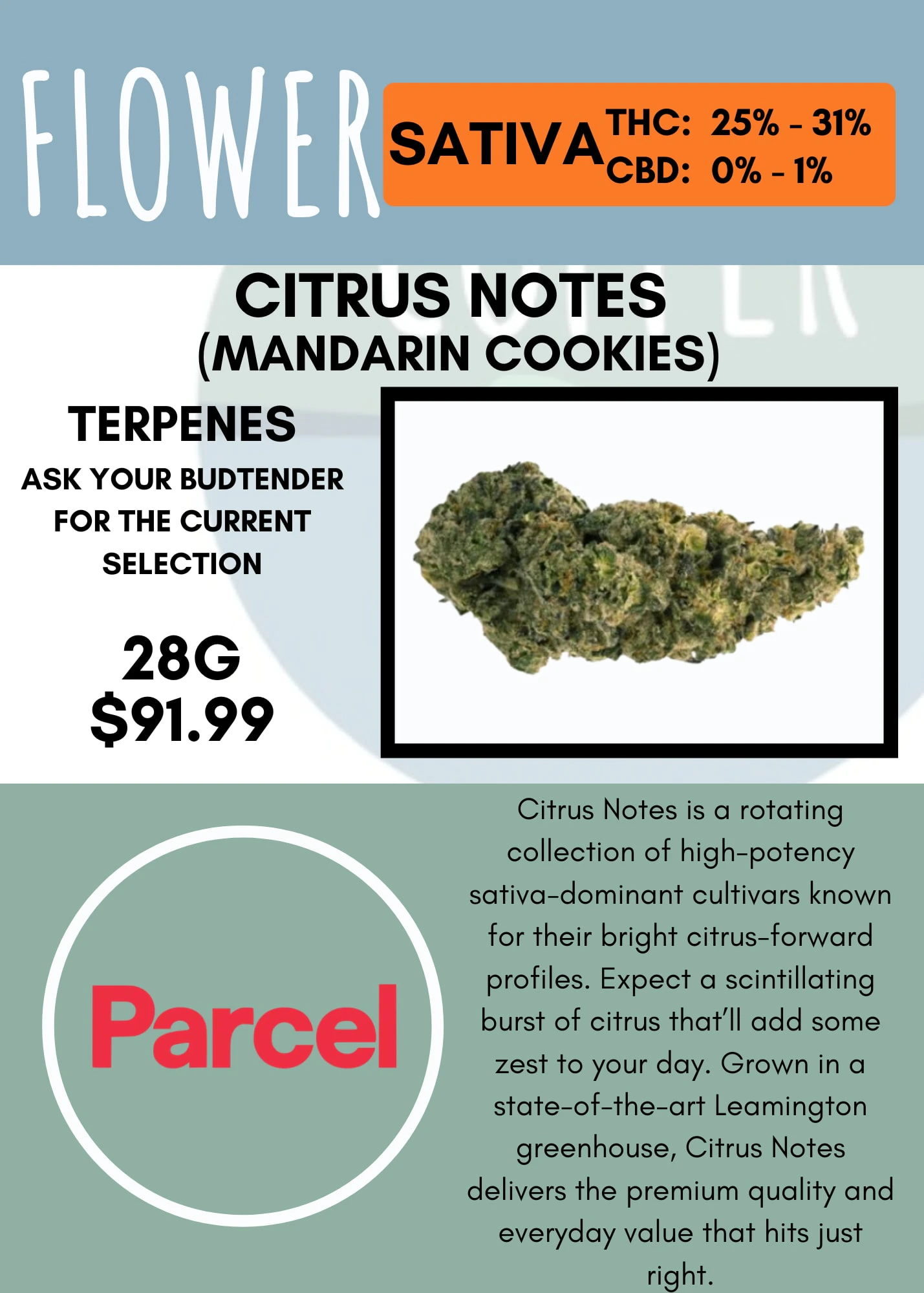 PARCEL - 28G - PARCEL - CITRUS NOTES Main Image