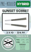 BC DOOBIES - 2PK SUNSET SORBET PRS
