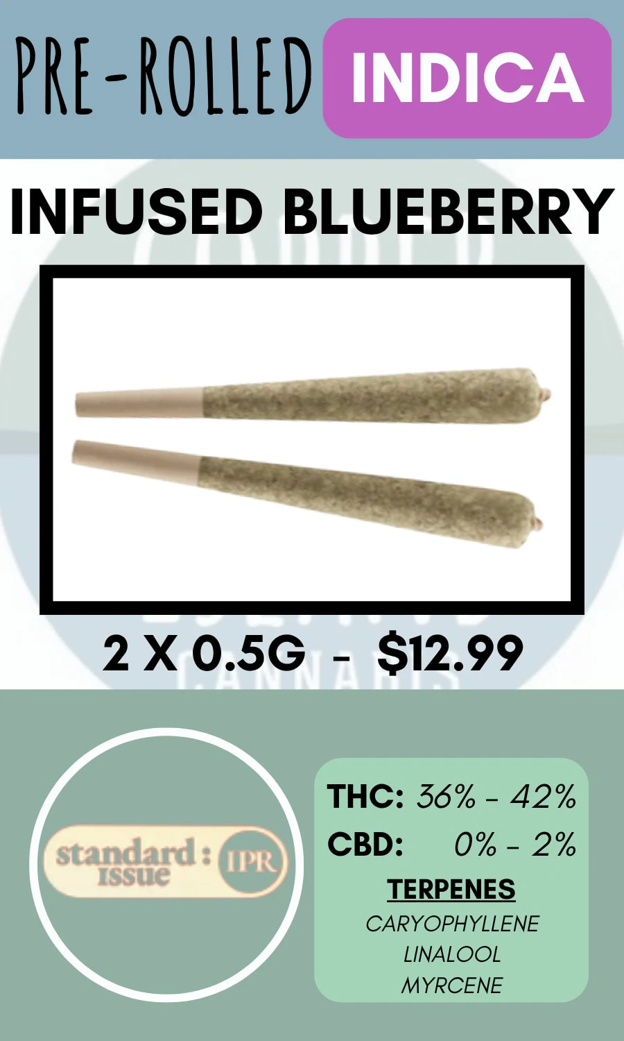 STANDARD ISSUE - STANDARD ISSUE - 2PK BLUEBERRY INFUSED PRS Main Image