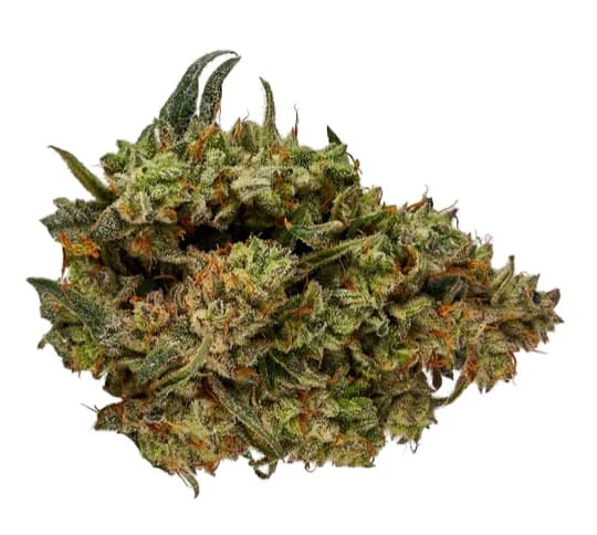 Orchid CBD - CBD RUNTZ Main Image