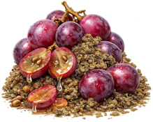 Grape Soda Pop 10g