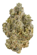 LA BOMBA - 28