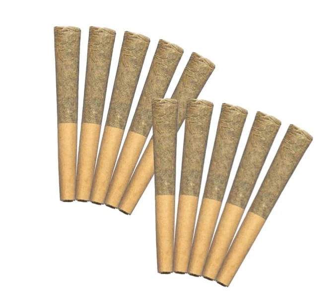 trygg - TRYGG | Ghost Train Haze Pre Rolls | 10 x 0.35 g Main Image