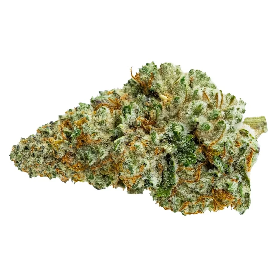 PURE SUNFARMS - Queen Green 28g Dried Flower Main Image
