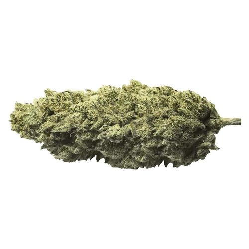 PURE SUNFARMS - Skywalker Haze 3.5 - The Original Fraser Valley Weed Co. Main Image