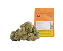 Gastropop 28g