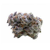 BLUEBERRY SUGAR - 14