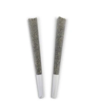 BC DOOBIES - BC Doobies | Goji Biker Pre-Rolls | 2 x 1 g Main Image
