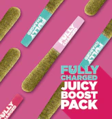 Fully Charged Juicy Boost Mixer Pack (0.5g x 3PR) - Spinach