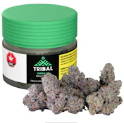 Tribal - Bubble Up 14g Dried Flower