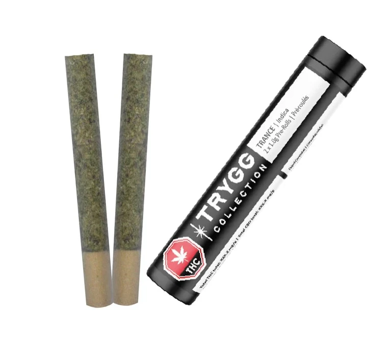 TRYGG - TRYGG | TRANCE PRE-ROLLS | 2 x 1g Main Image