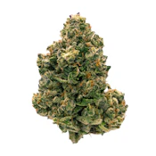 Citrus Notes - 28g