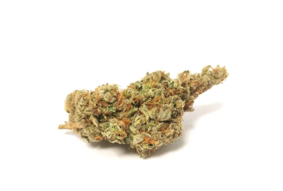 Orchard - PUCKER UP LTO - 14G Main Image