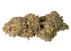 WATERMELON HURRICAINE | 14g
