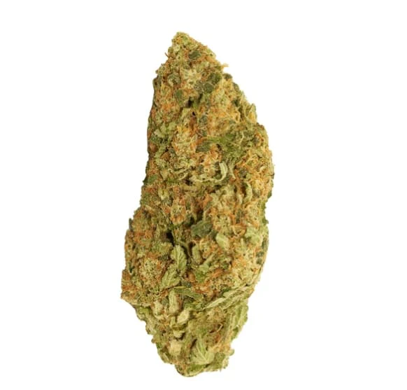 GOOD SUPPLY - Good Supply | BLUEBERRY DONUTS PRE-ROLLS - 3.5 Main Image