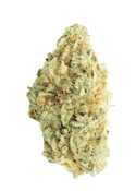 Vancity Cannabis | RESERVE SATIVA - 7G