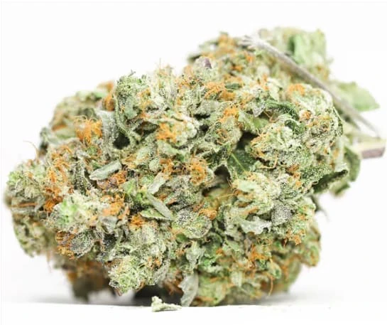Fort 20 Farms - FORT 20 FUEL | EL CHAPO SMALLS 3.5g Main Image