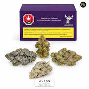 Royal Collection: The Quartet 14g Dried Flower